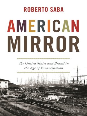 cover image of American Mirror